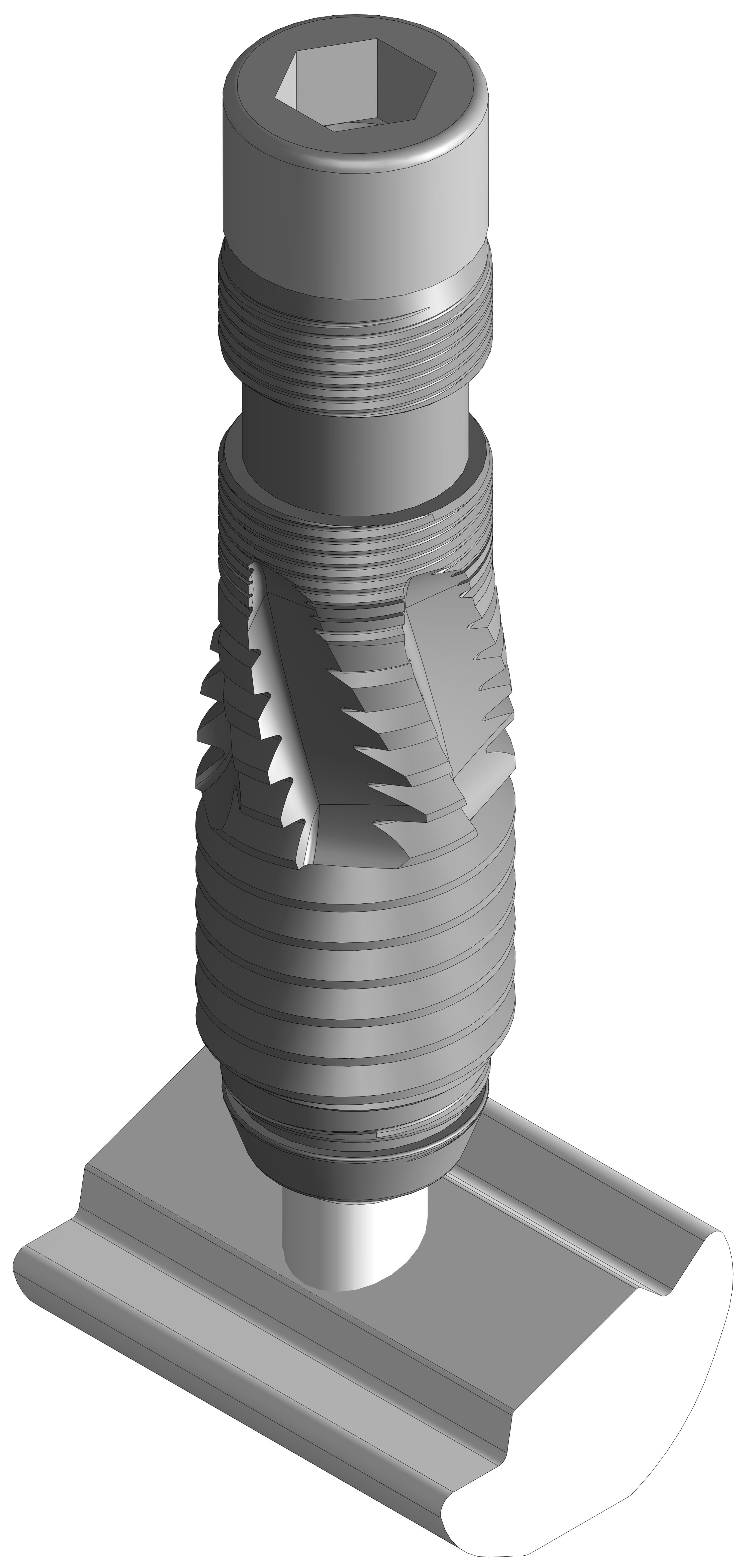40 6 Standard Threaded Insert 20 Angle Kit f1-standard-weight-calibration-techmaster-electronics-jsc